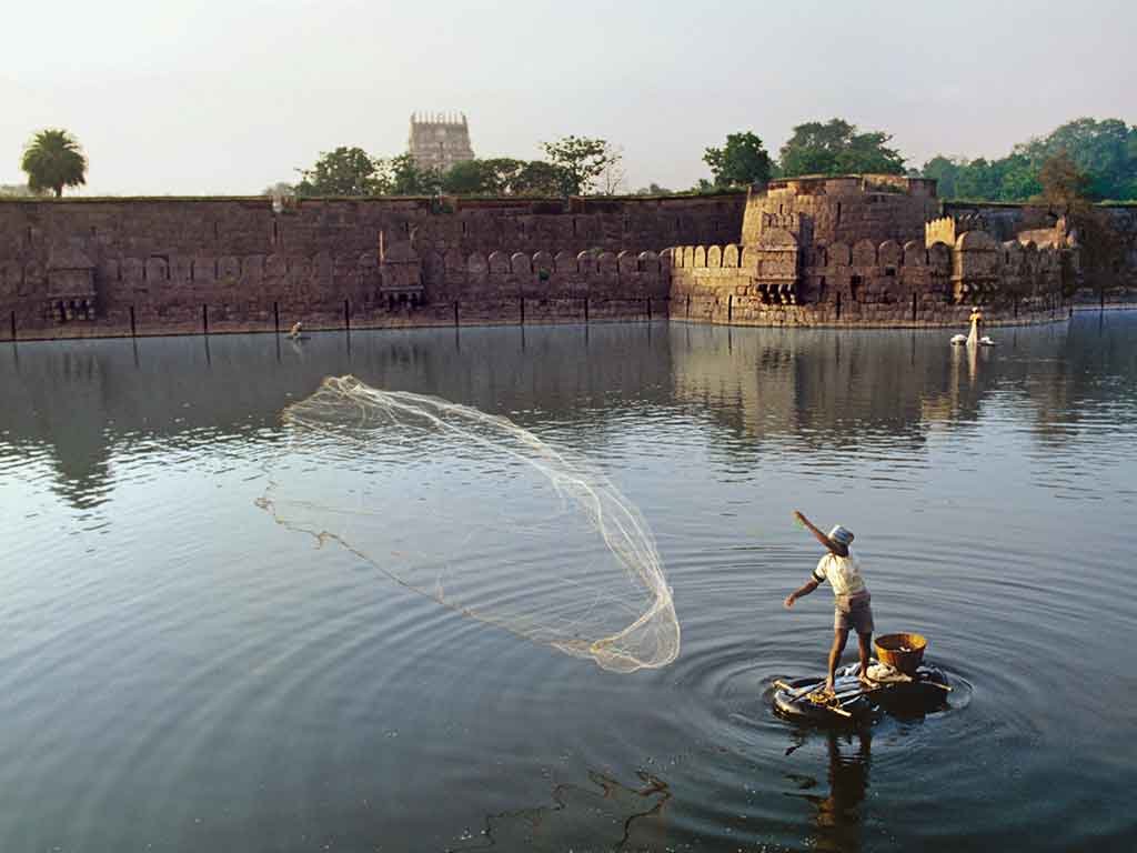 vellore taxi